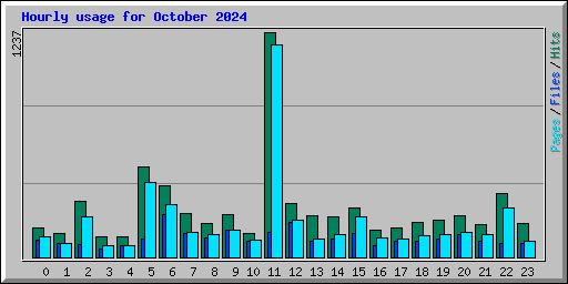 Hourly usage for October 2024