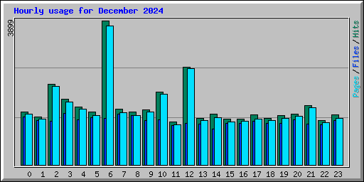 Hourly usage for December 2024