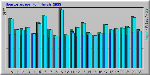 Hourly usage for March 2025